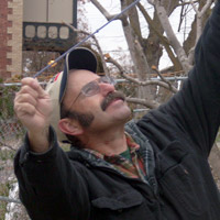 Robin Gray