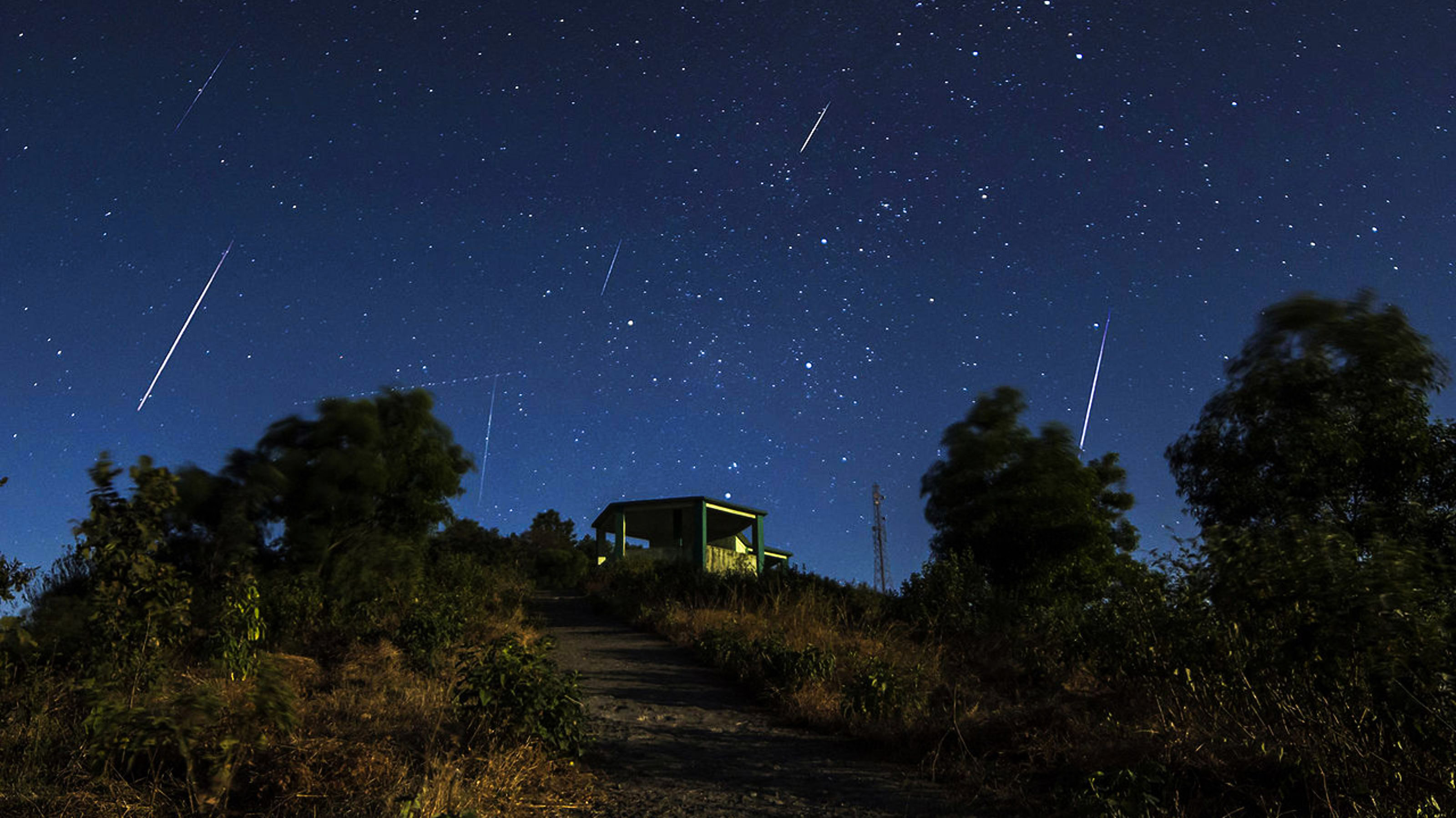 Geminids 2014