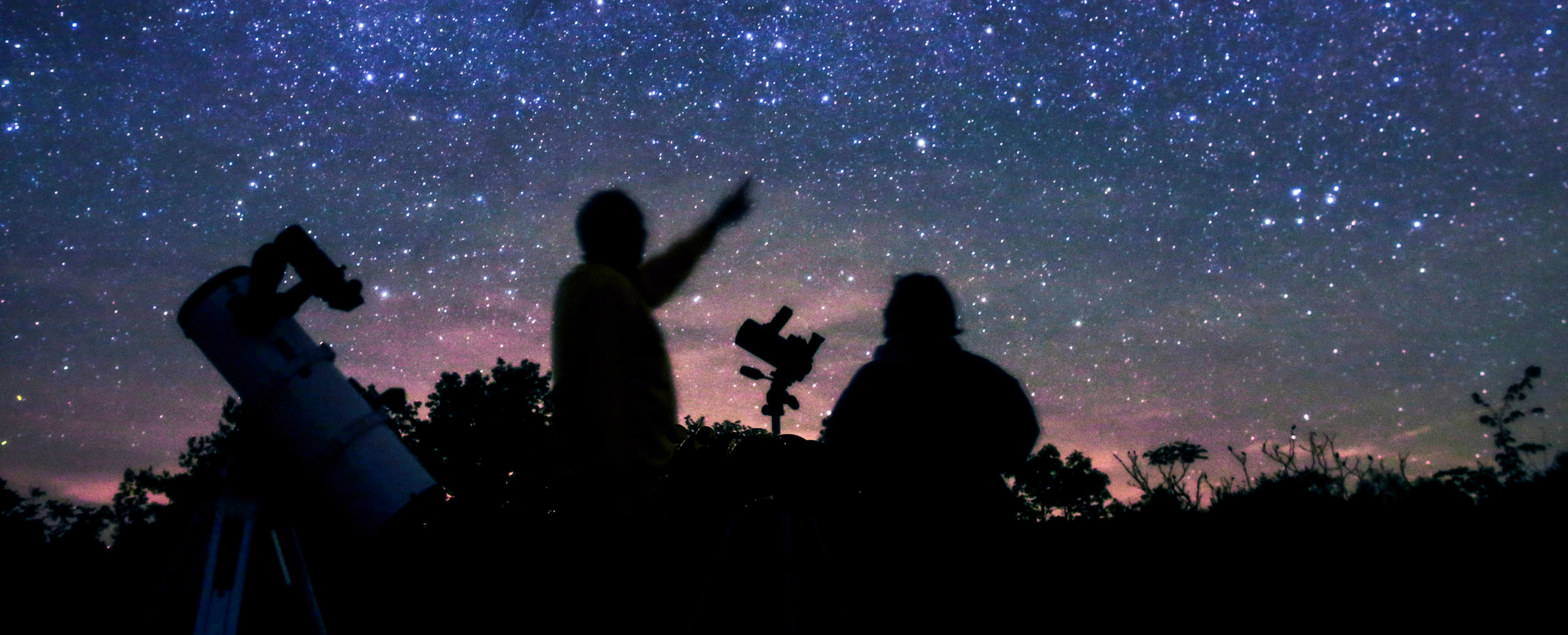 stargazers
