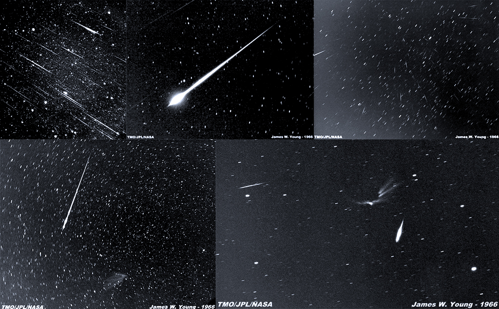 leonids1966